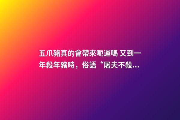 五爪豬真的會帶來呃運嗎 又到一年殺年豬時，俗語“屠夫不殺五爪豬”啥意思？你怎么看？-第1張-觀點-玄機派